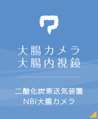 大腸カメラ 大腸内視鏡 二酸化炭素送気装置NBI大腸カメラ